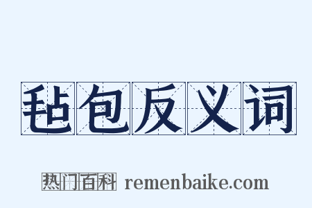 毡包反义词是什么意思的图片
